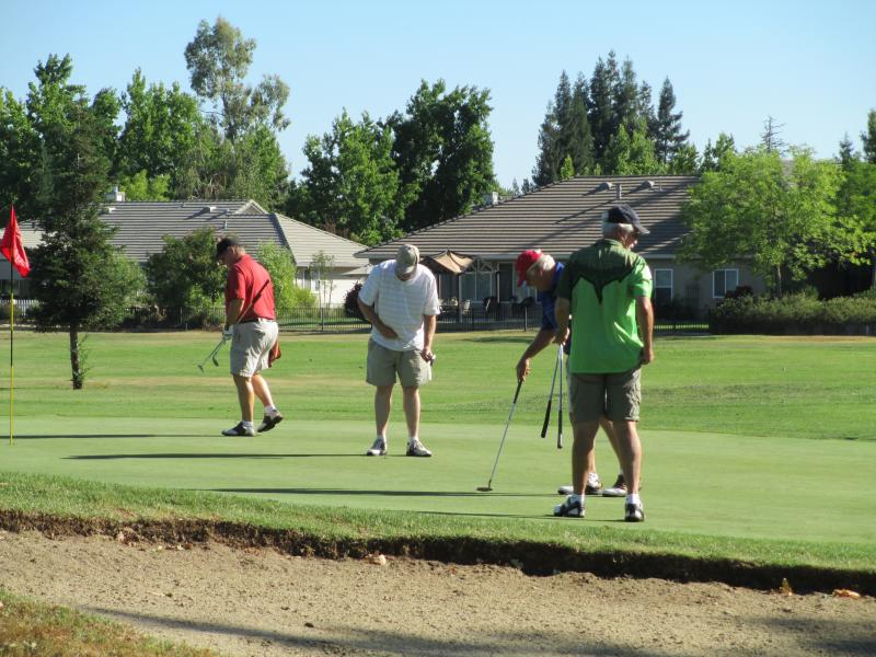 Member/Guest